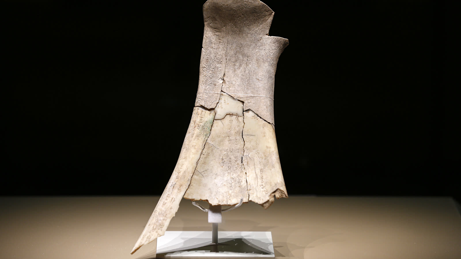 Oracle-bone inscription relic from Yin Xu in Anyang, Henan